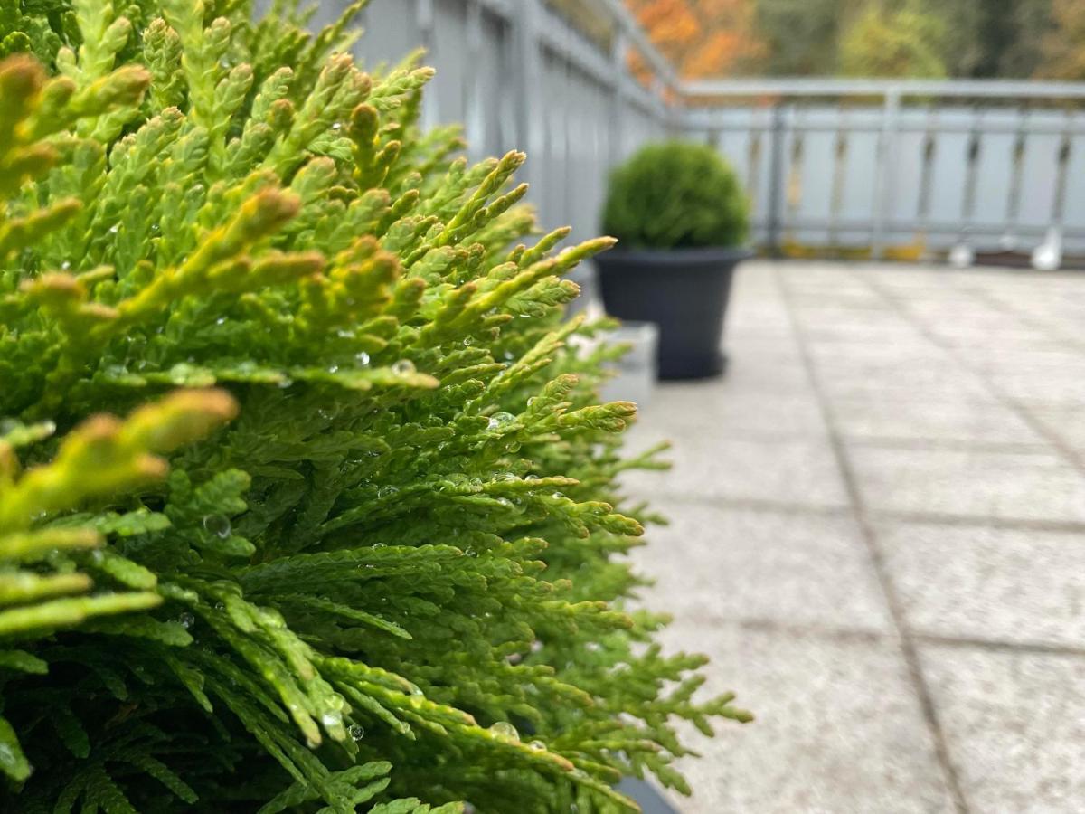 Ferienwohnung Schwarzwald Tannenzaepfle Baiersbronn Εξωτερικό φωτογραφία