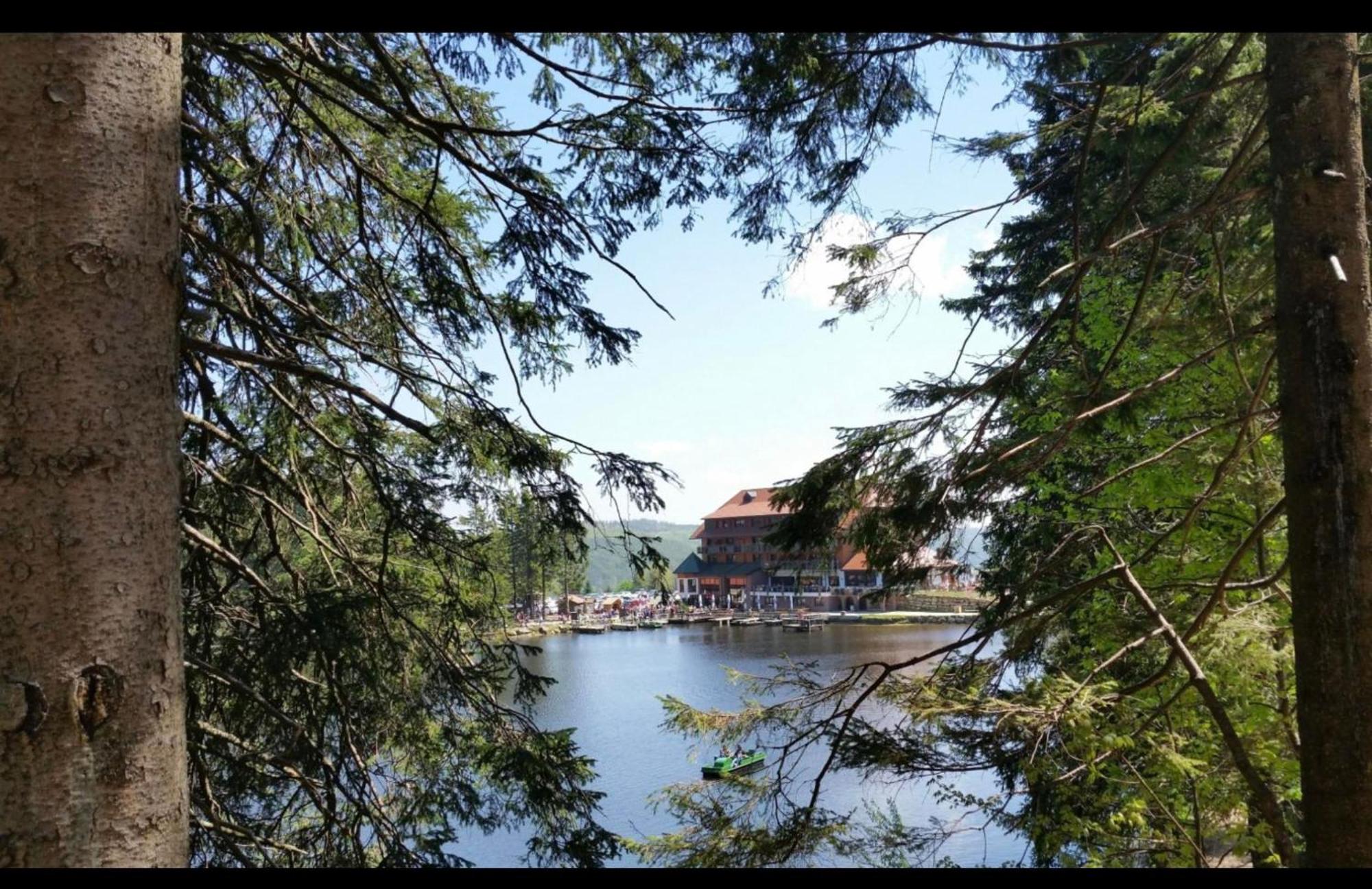 Ferienwohnung Schwarzwald Tannenzaepfle Baiersbronn Εξωτερικό φωτογραφία